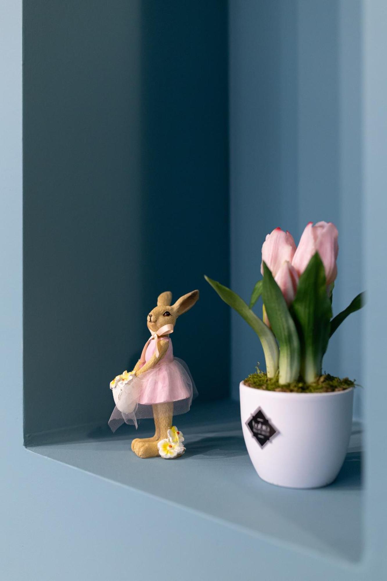 Hellowine Apartman エゲル エクステリア 写真